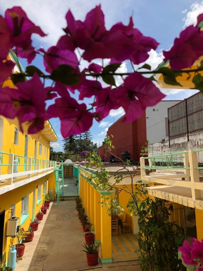 Casa Juarez Apartment Oaxaca Ngoại thất bức ảnh