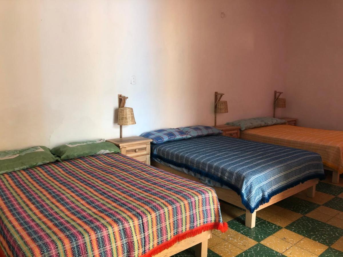 Casa Juarez Apartment Oaxaca Ngoại thất bức ảnh